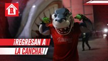 Liga del Balompié Mexicano anunció la incorporación del Tibu