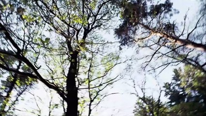 Ausschnitt: "Der Letzte Zug"