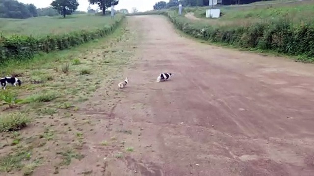 Jeux avec Helliot suite