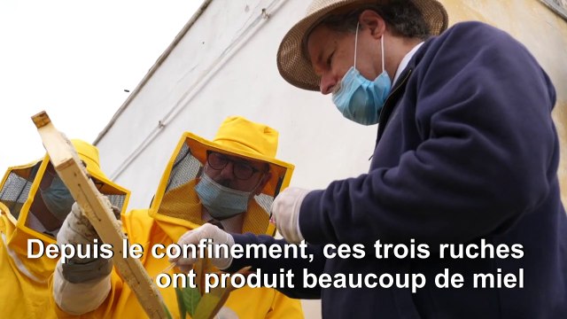 Italie: les Romains font grise mine mais les abeilles font la fête