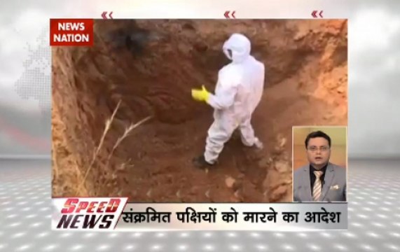 Speed News @8am: Odisha govt orders culling of birds on reports of bird flu