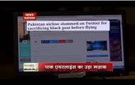 Zero Hour: Pakistani Airlines mocked for slaughtering black goat on Airline Tarmac