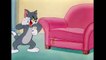 Tom & Jerry - Is Jerry Taking Care of Tom- - Classic Cartoon - WB Kids
