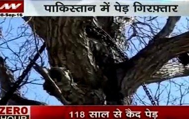 Zero Hour: Tree in Pakistan under arrest since British rule