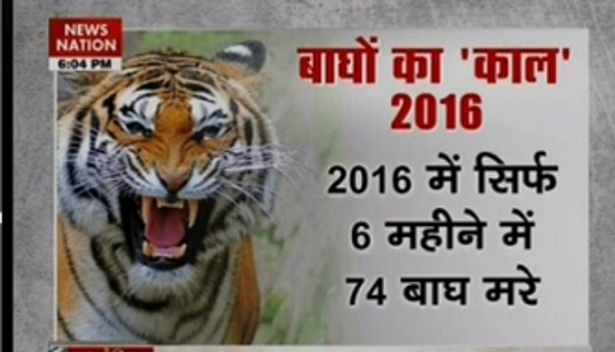 India Bole: Is killing animals the solution?