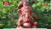 Eco-friendly ‘Bappa’ that grows into a plant