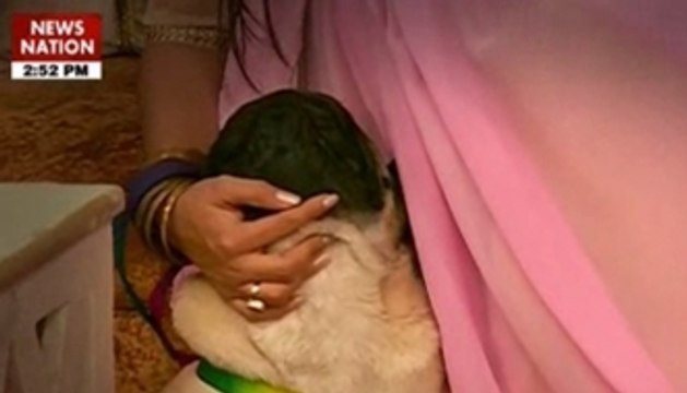 Sasural Simar Ka: Simar turns dog lover