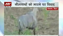200 nilgai shot dead in Bihar, Maneka Gandhi slams Environment Ministry