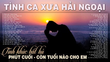PHÚT CUỐI, CÒN TUỔI NÀO CHO EM - Dòng Nhạc Tình Ca Xưa Phòng Trà Sang Trọng Cực Sầu Khi Nghe Về Đêm