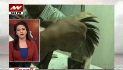 Speed News: Black money fraud exposed with startling figures exclusively on News Nation