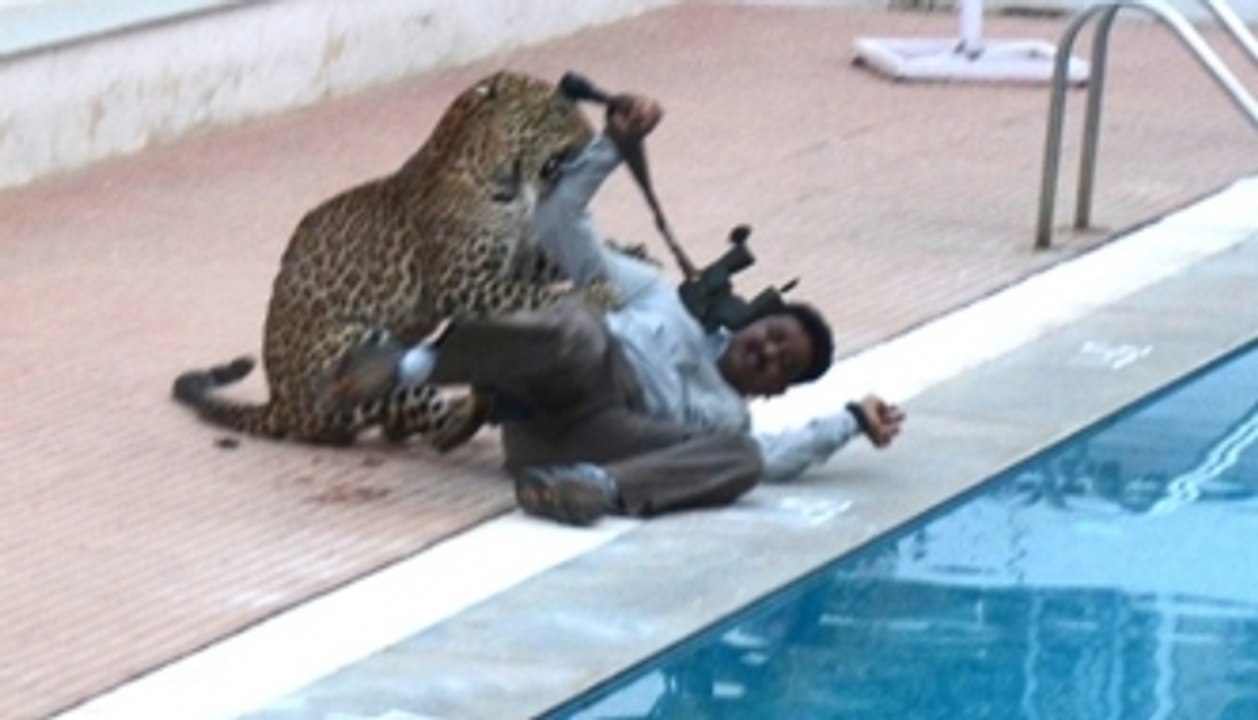 Leopard attack in Bengaluru school