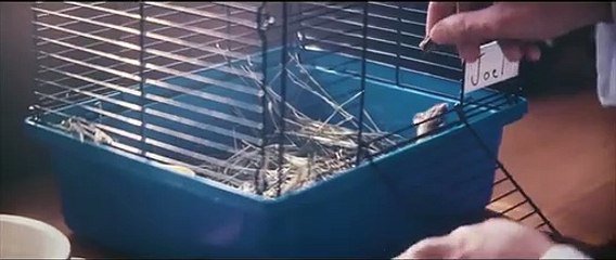 Marshmello - Alone ( Official Video Song )