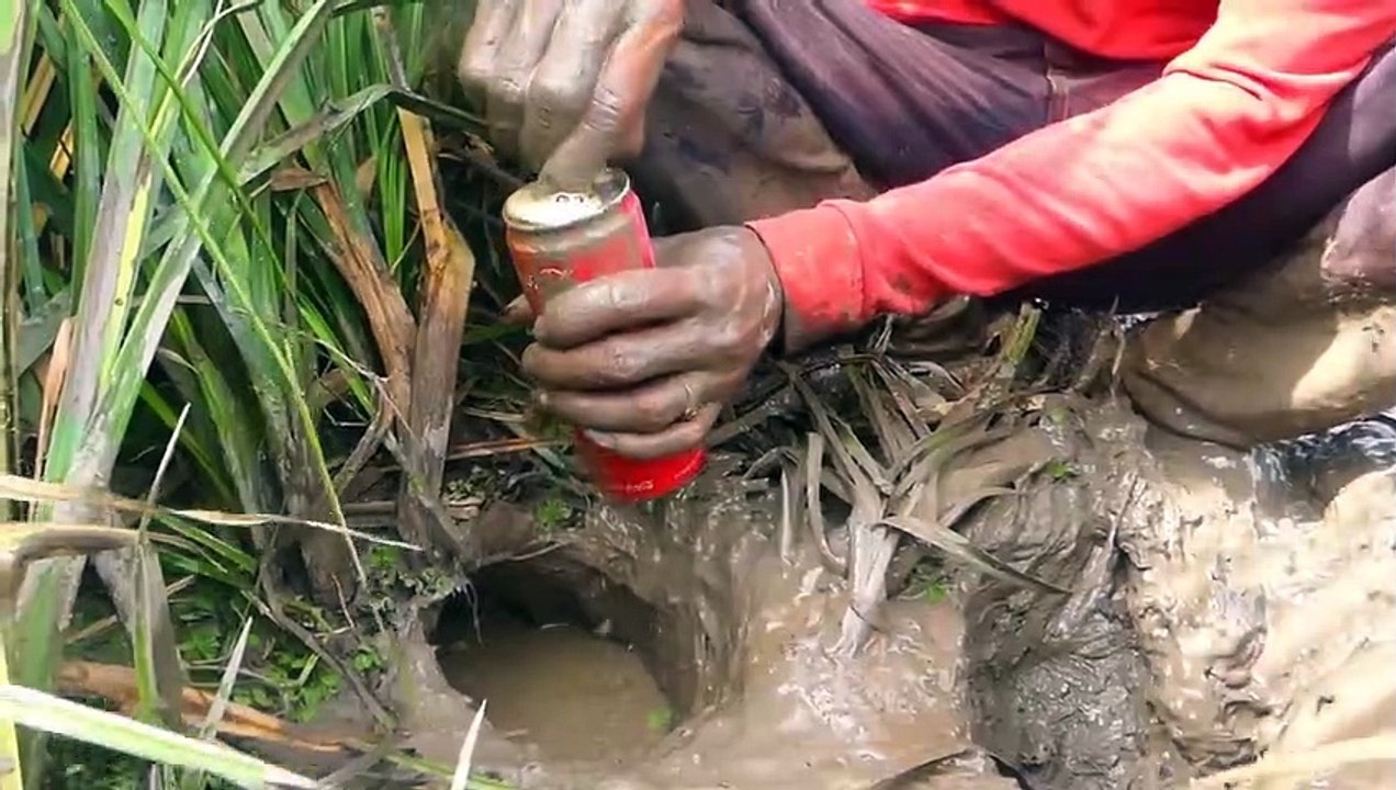 New Method Of Catching Fish From Deep Hole Using C(720P_60FPS)