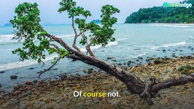 Can Women be Pastors | What does the Bible says | 4knowledge