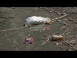 Report TV-Kafshët e ngordhura dhe mbetjet urbane 'pushtojnë' grykëderdhjen e lumit Drin