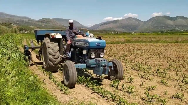 Tokat pa ujë/ Në finiq thatësira po dëmton të mbjellat