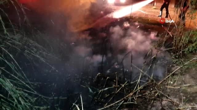 Nazilli'de sazlık alanda çıkan yangın korkuttu