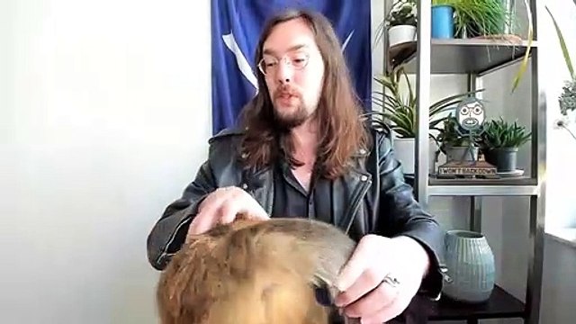 CNN Poll Suggests Trump is Ahead in the Battleground States and Among Independents