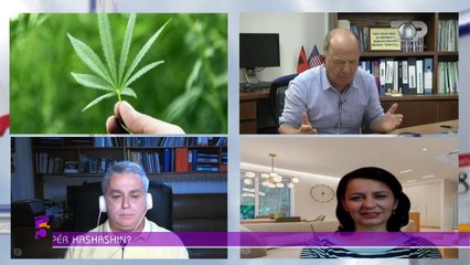 Descargar video: Ç’fshihet pas legalizimit të kanabisit për Sazan Gurin: Ikën i njomi me të thatin