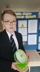 Can my hamster power a lightbulb?