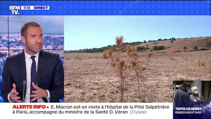 Météo France prévoit un été "plus chaud" que la normale