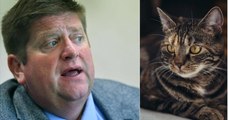 Piégeage des chats : le président des chasseurs regrette et s'explique sur ses propos