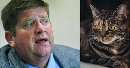 Piégeage des chats : le président des chasseurs regrette et s'explique sur ses propos