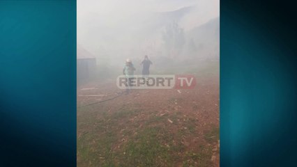 Report TV - Zjarr i madh në Mirditë, era e fuqishme dhe terreni malor përkeqësojnë situatën