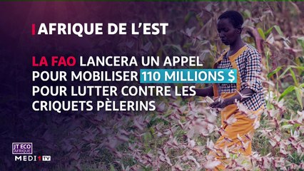 JT Economie - 15/05/2020