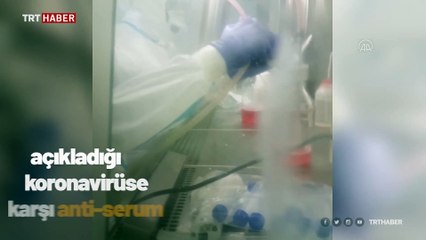 Türkiye'nin aşı için hazırladığı anti serum çalışmaları görüntülendi
