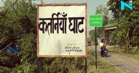 VIDEO-  तेंदुए और साही की लड़ाई की LIVE तस्वीरें, देखिए