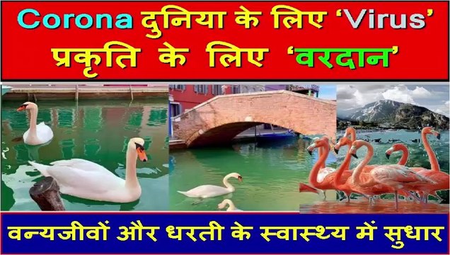 कोरोना बना वरदान l Corona helping the Nature l Benefits of Lockdown l Coronavirus Vaccine Updates l Corona दुनिया के लिए ‘VIRUS’, प्रकृति के लिए ‘वरदान’ | Improvement in Ozone Layer l corona effect on environment hindi l