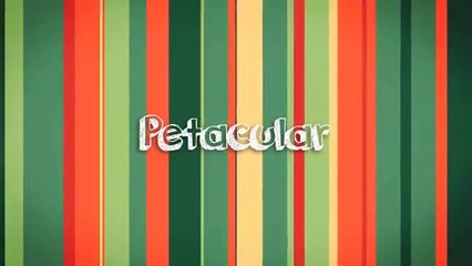 Funny Cats playing with Plastic Bags Compilation