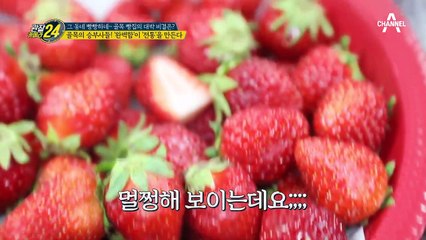 '완벽함'이'전통'을 만든다! ♨빵의 달인, 골목의 승부사들♨
