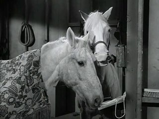 Mr. Ed - 096. Stur wie ein Esel sprechen