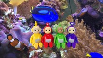 TELETUBBIES Toys Choosing Fish For the Aquarium-