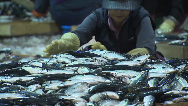 [부산] 수산물 소비 촉진 '급식 챌린지' 캠페인 열어 / YTN