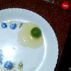 ‘Green-coloured’ egg yolks in this Kerala man’s farm leave experts puzzled