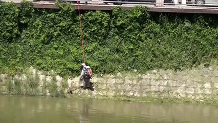 Asi Nehri'nde temizleme çalışmaları