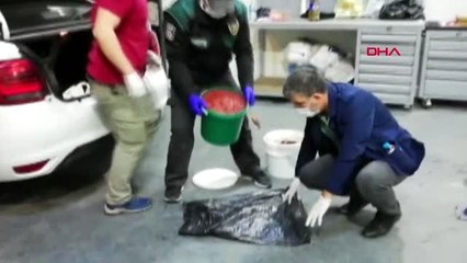 KOCAELİ Salçanın içinden 20 bin 250 adet uyuşturucu hap çıktı