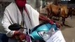 Watch How A Chennai Preist Is Distributing Masks Amid Coronavirus