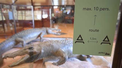 Déconfinement: visite du Musée royal de l'Afrique centrale à Tervuren