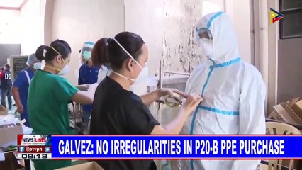 Galvez: No irregularities in P20-B PPE purchase