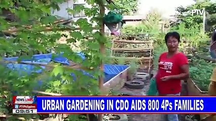 Urban gardening in CDO aids 800 4Ps families