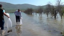 Kayseri'de baraj göllerine 44 bin sazan yavrusu bırakıldı