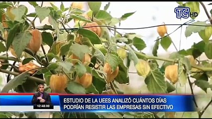 Las empresas sin venta podrían resistir 28 días, según estudio de la UESS