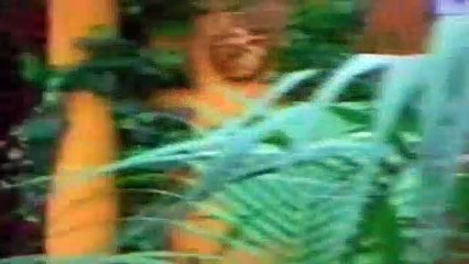 Mighty Morphin Power Rangers Season 3 Episode 13 Stop The Hate Master, Part I (Dragonranger & Megasilver)