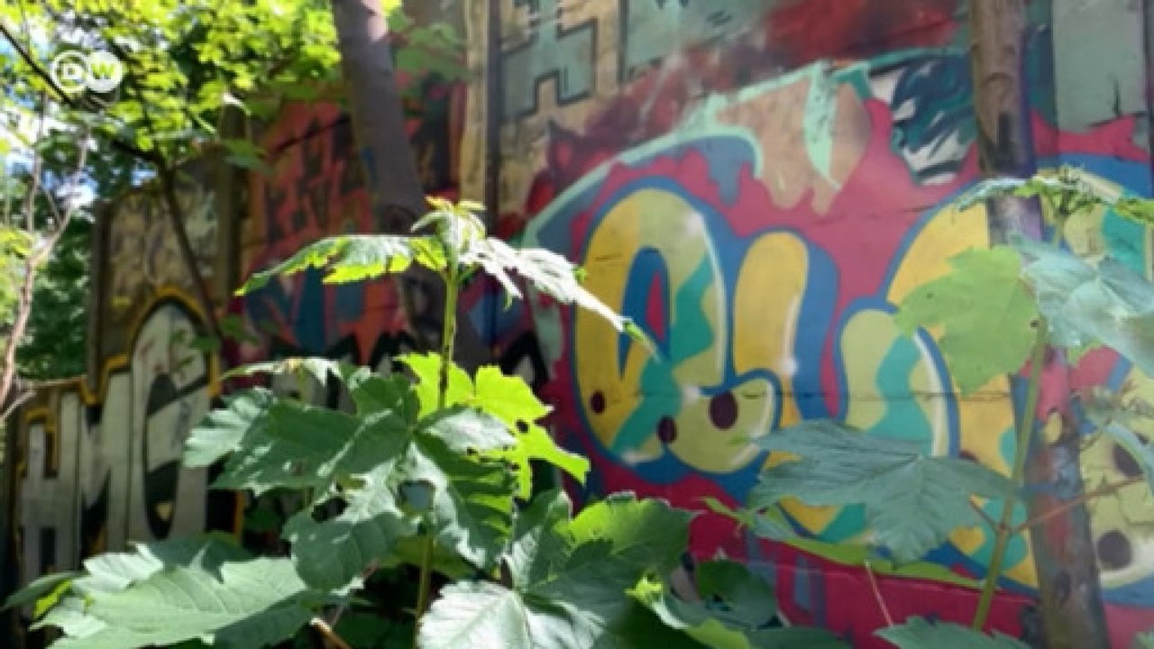 Как историки отвоевывают у строителей фрагменты Берлинской стены (15.05.2020)