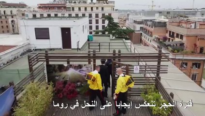 فترة الحجر تنعكس إيجابا على النحل في روما