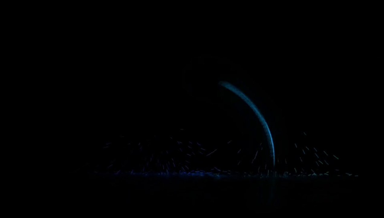 Worst Game In Expelled Wolf's Life. Expelled Wolf Play Worst Game Play In His Life